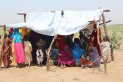 Aid agencies call to address immense hunger in Sudan