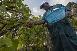 IFAD to reduce hunger and poverty for 100 million people