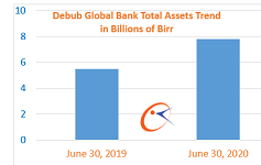 Debub Global Bank profit up 33 percent